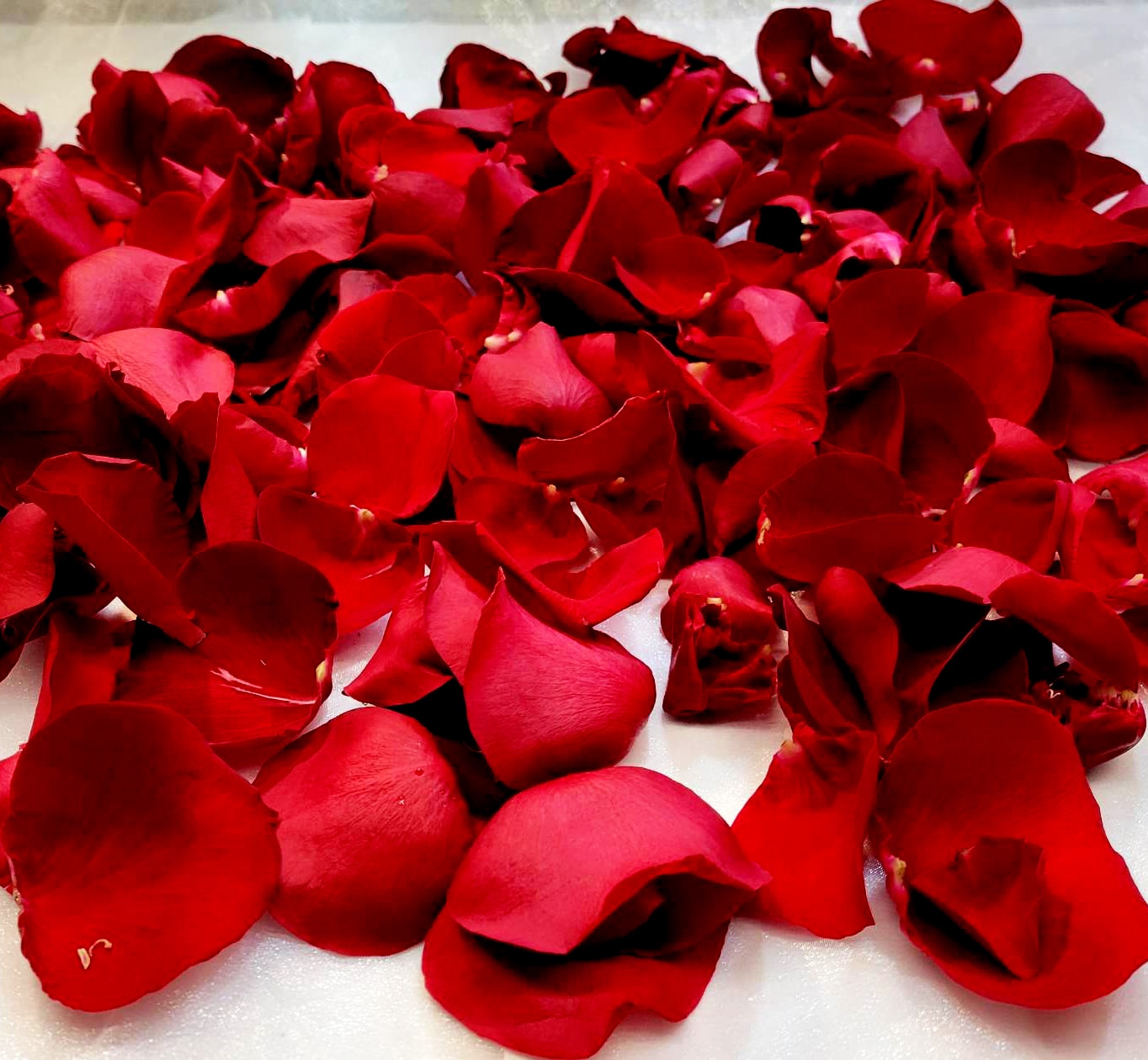 Bag of Rose Petals